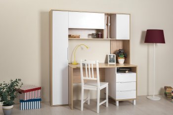 Компьютерный стол Комфорт 12.95 в Иланском - mebel154.com
