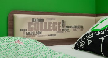 Кровать софа с ящиками Колледж в Иланском - mebel154.com