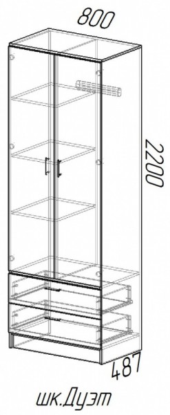 Шкаф 2-х дверный Дуэт в Иланском - mebel154.com
