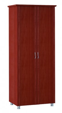 Шкаф для одежды 2-х дверный 3 Элегия в Иланском - mebel154.com