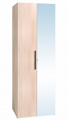 Шкаф для одежды 2-х дверный 8 Bauhaus в Иланском - mebel154.com