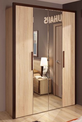 Шкаф для одежды 2-х дверный 9 Bauhaus в Иланском - mebel154.com