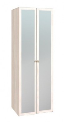 Шкаф для одежды 2-х дверный с зеркалом 54-2 Бриз в Иланском - mebel154.com