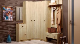 Шкаф для одежды Тифани-1 в Иланском - mebel154.com