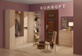 Шкаф для одежды угловой 1 Комфорт в Иланском - mebel154.com