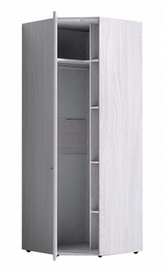 Шкаф для одежды угловой 56-2 Paola в Иланском - mebel154.com