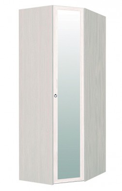 Шкаф для одежды угловой с зеркалом 56-2 Марсель в Иланском - mebel154.com