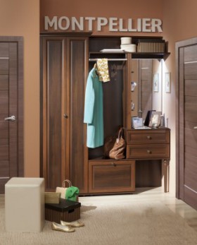 Шкаф для прихожей МЦН 2 Montpellier в Иланском - mebel154.com