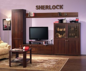 Шкаф МЦН 2 Sherlock  в Иланском - mebel154.com